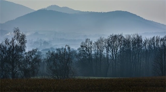 姑娘加油励志句子(实用50句)