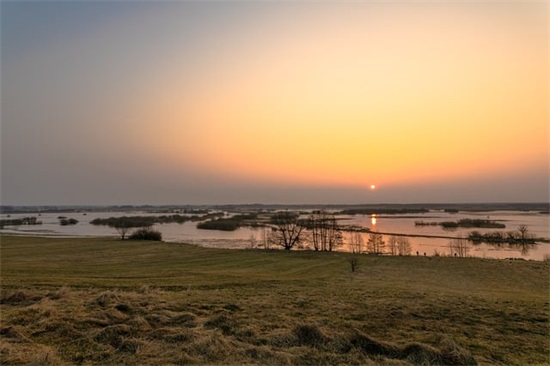 音乐专业求职信