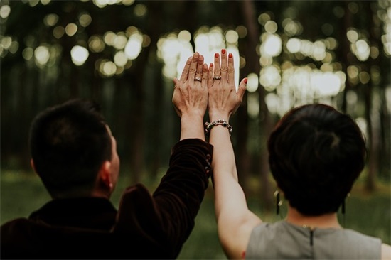 法律专业的求职信