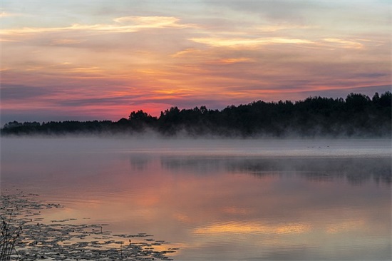 求职信品牌策划专业问题