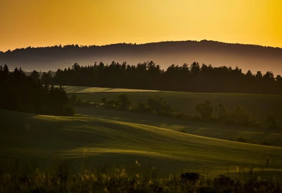 患者演讲稿范文大全