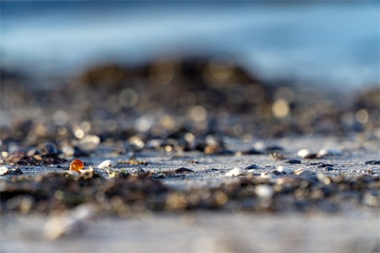 给宝宝成长的寄语-50句