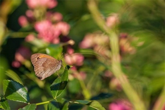 给女儿成长的简短寄语-51句