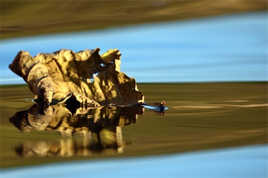 给幼儿园宝宝的成长寄语-35句