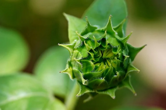 初一家长寄语怎么写最佳-29句