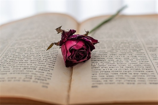 中考前寄语 鼓励学生-53句