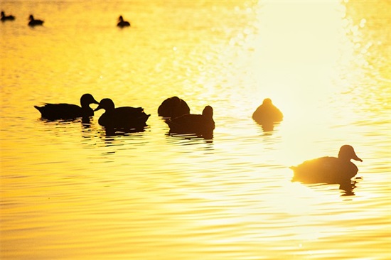 搞笑精辟短句 高级幽默的句子精选