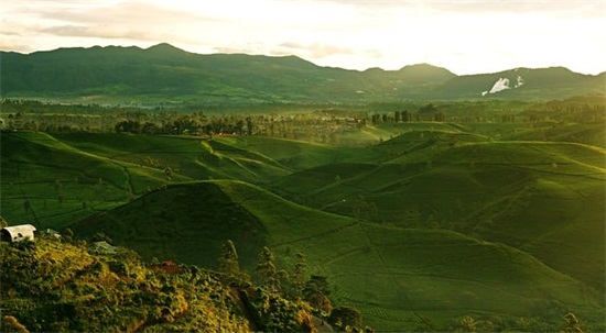 开心的句子 让人开心的句子