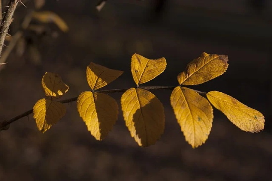 伤感显霸气的非主流网名(共105个)