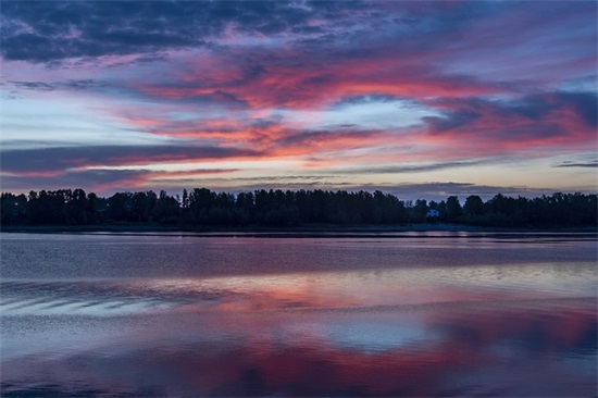 清新优雅的女生网名(共117个)