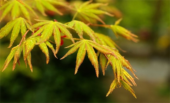 2025年写给闺蜜的神仙句子