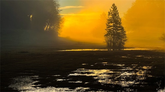 人表白被拒绝后的伤感句子 表白被拒绝后的句子