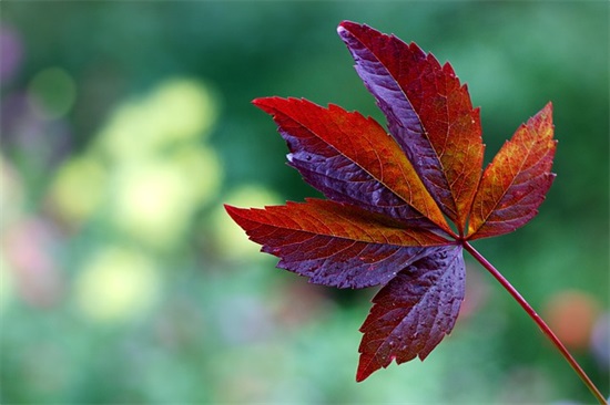 2025最励志自我反省的句子