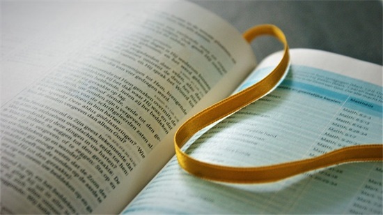 鼓励人上进的句子正能量 努力上进励志的句子