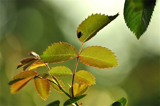 泡妞幽默句子77句