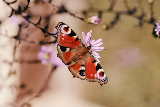 2025年鼓励自己不要放弃的励志句子