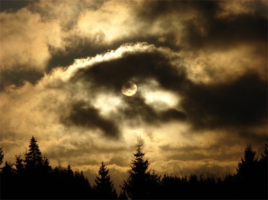 让对方看到暖心的句子