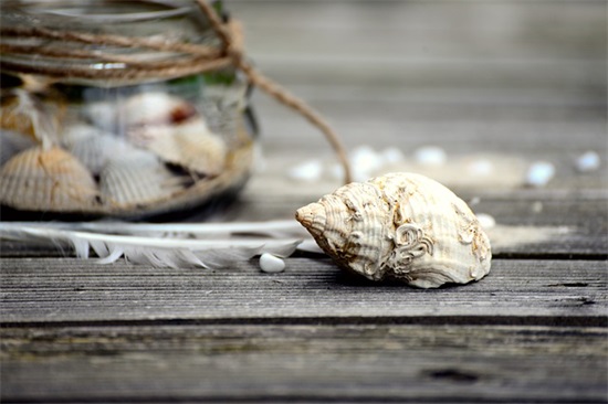 重阳节的来历20字