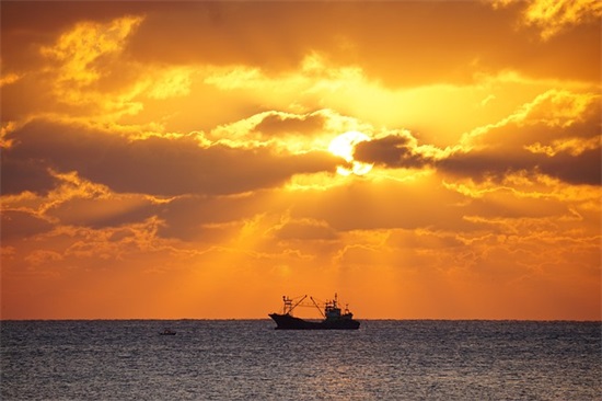 小学生家长寄语应该怎么写 【小学生家长寄语应该怎么写好】