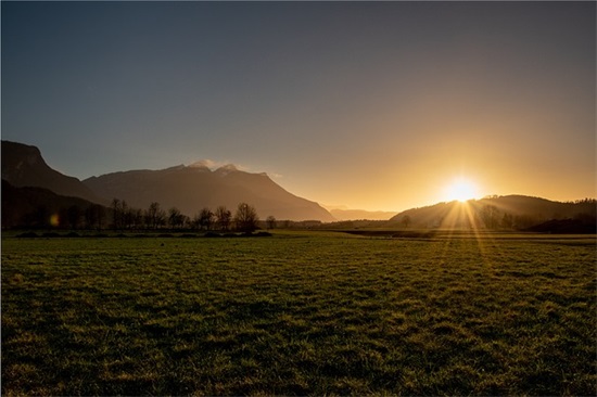 感人肺腑的句子精选181句