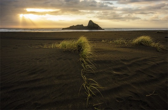 有文化的骂人脏话句子精选256句