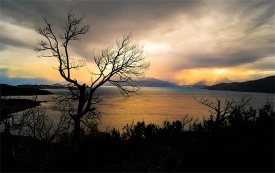 关于没人在乎自己的句子精选152句