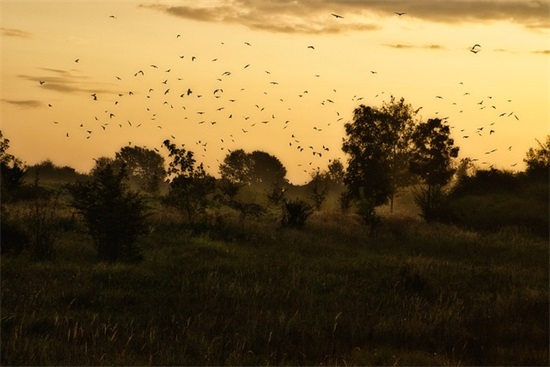 好听的失恋qq网名昵称大全(精选103个)