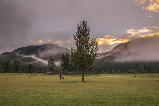带得瑟的字的网名