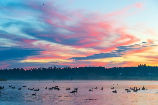 美到忧伤的文艺伤感句子