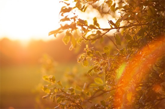 我真的受伤了范例6篇