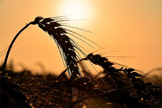 幼儿园老师对孩子的寄语简短-54句