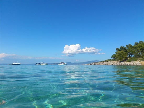 查询名字中带国字的网名