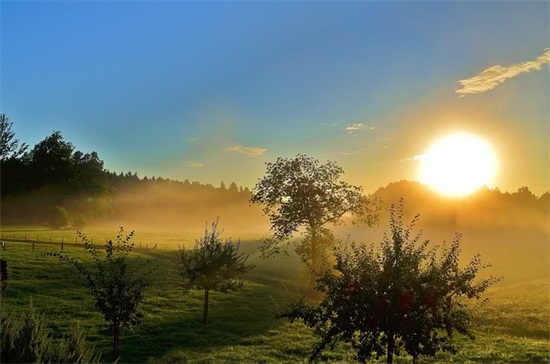 带木 火有关的网名