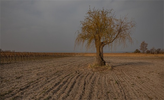 五月你好唯美句子简短2025 古风唯美句子简短