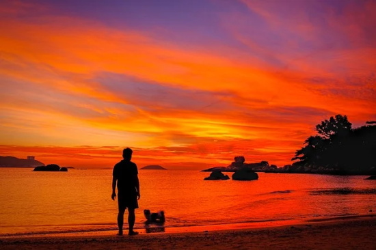 唯美灬筱雅网名